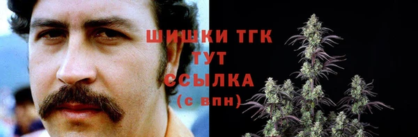 прущие грибы Няндома
