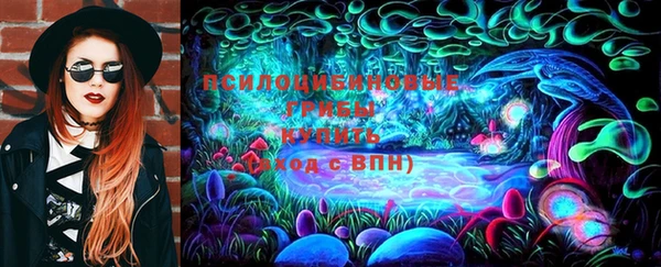 прущие грибы Няндома