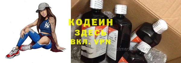 прущие грибы Няндома