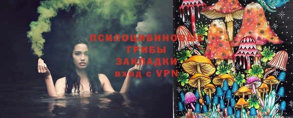 ПСИЛОЦИБИНОВЫЕ ГРИБЫ Новокубанск