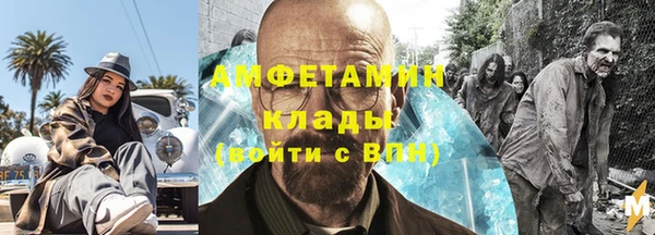 прущие грибы Няндома