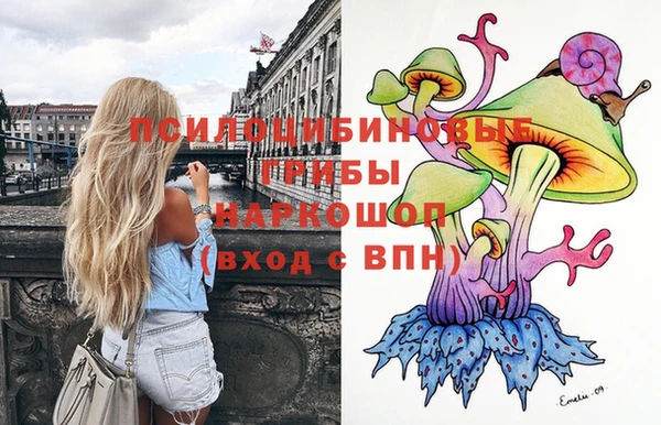 прущие грибы Няндома
