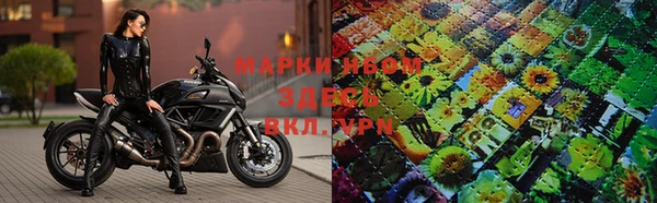 PSILOCYBIN Нязепетровск