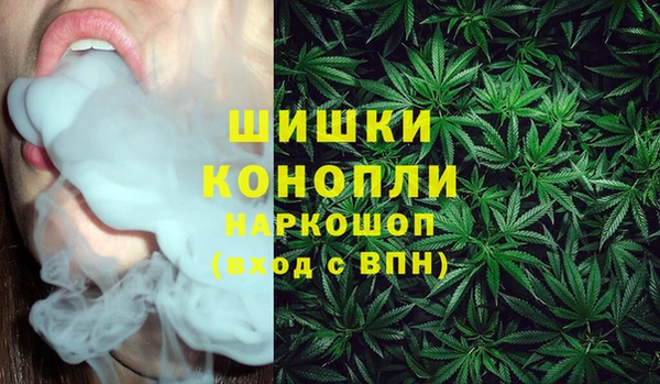 прущие грибы Няндома