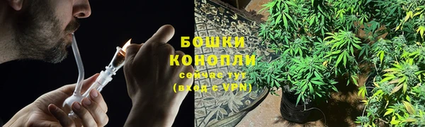 стаф Нягань