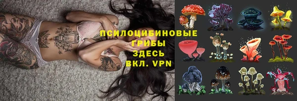 PSILOCYBIN Нязепетровск