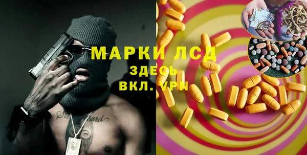 прущие грибы Няндома