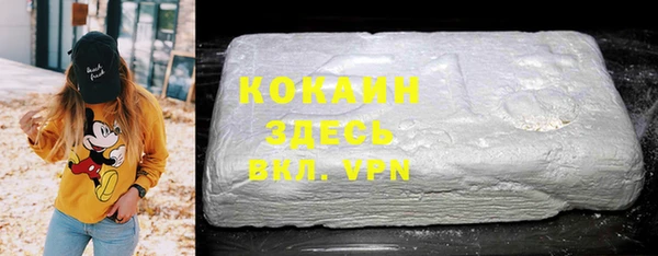 прущие грибы Няндома