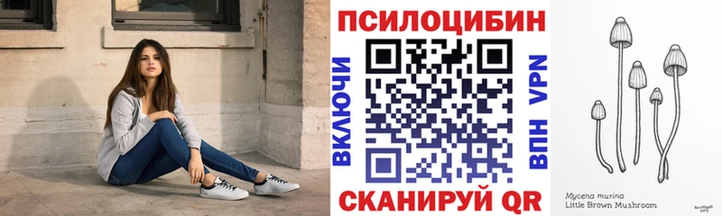 Псилоцибиновые грибы GOLDEN TEACHER  MEGA tor  Миасс 
